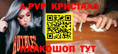 стафф Славгород