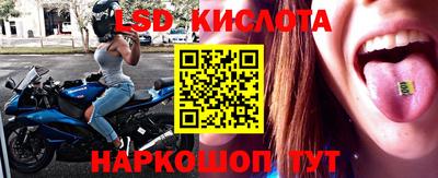 стафф Славгород