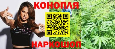 стафф Славгород